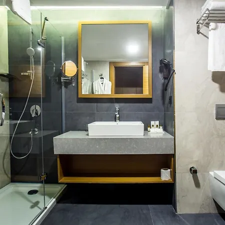 Hotel Willmont 4*